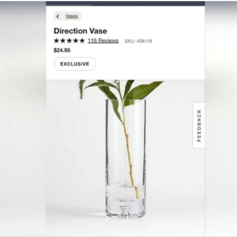 Crate and Barrel  Glass Vase